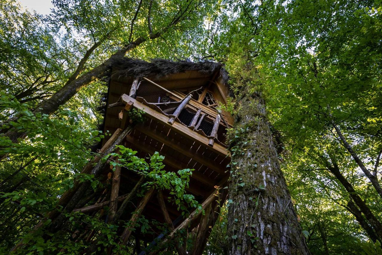 L'Arbre A Cabane Guyonvelle Exterior foto