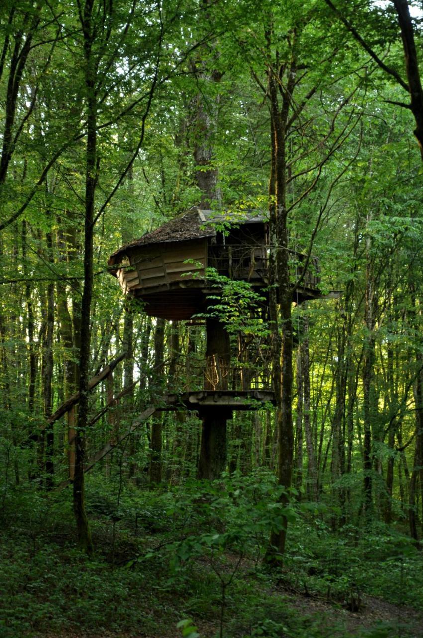 L'Arbre A Cabane Guyonvelle Exterior foto